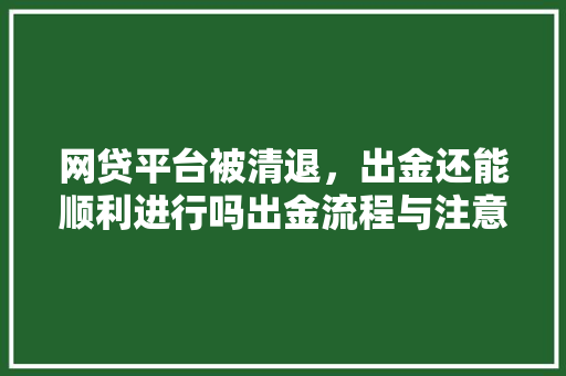 网贷平台被清退，出金还能顺利进行吗出金流程与注意事项