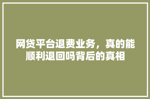 网贷平台退费业务，真的能顺利退回吗背后的真相  第1张