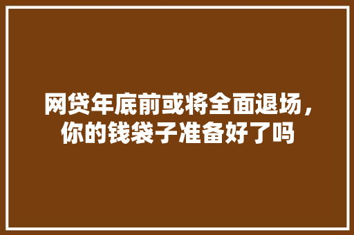网贷年底前或将全面退场，你的钱袋子准备好了吗