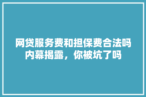 网贷服务费和担保费合法吗内幕揭露，你被坑了吗