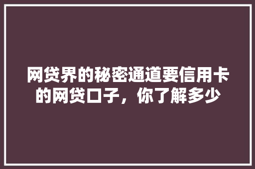 网贷界的秘密通道要信用卡的网贷口子，你了解多少