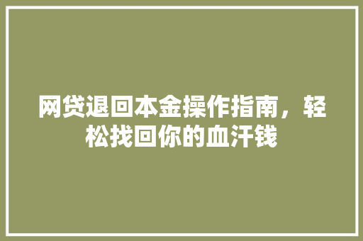 网贷退回本金操作指南，轻松找回你的血汗钱