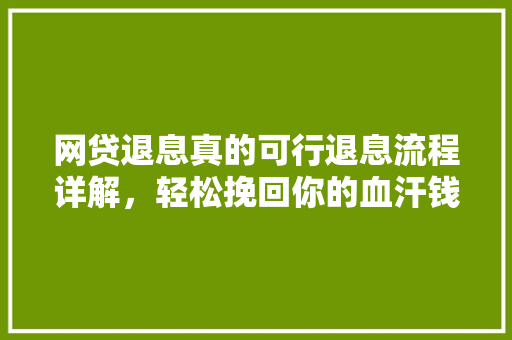 网贷退息真的可行退息流程详解，轻松挽回你的血汗钱
