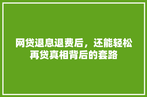 网贷退息退费后，还能轻松再贷真相背后的套路