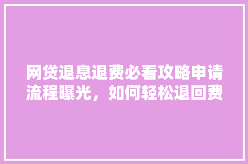 网贷退息退费必看攻略申请流程曝光，如何轻松退回费用