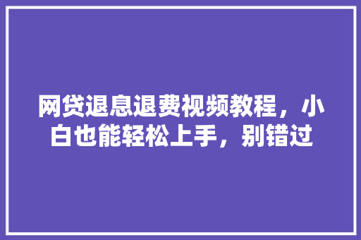 网贷退息退费视频教程，小白也能轻松上手，别错过