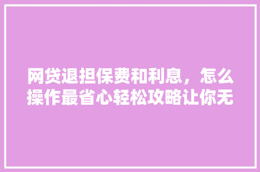 网贷退担保费和利息，怎么操作最省心轻松攻略让你无忧还款
