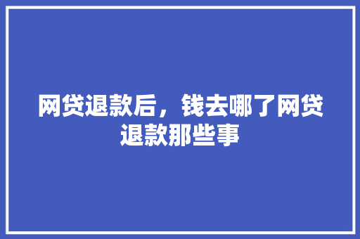 网贷退款后，钱去哪了网贷退款那些事