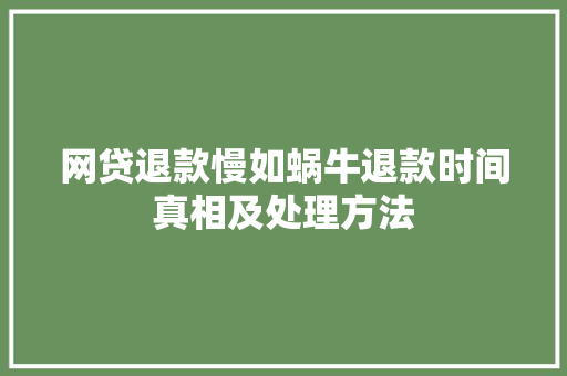 网贷退款慢如蜗牛退款时间真相及处理方法