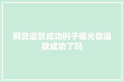 网贷退款成功例子曝光你退款成功了吗