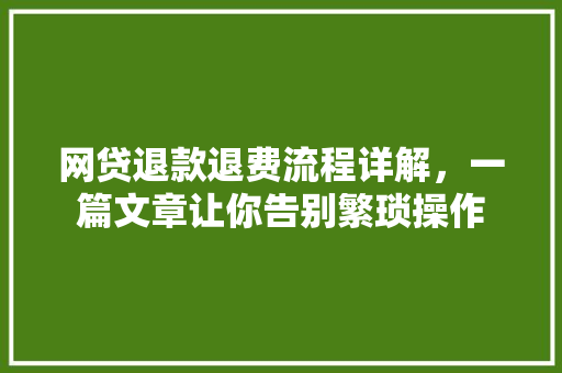 网贷退款退费流程详解，一篇文章让你告别繁琐操作