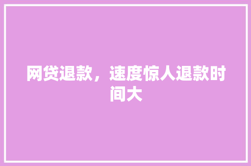 网贷退款，速度惊人退款时间大
