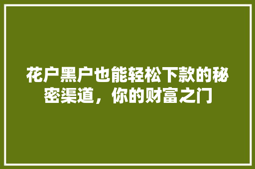 花户黑户也能轻松下款的秘密渠道，你的财富之门