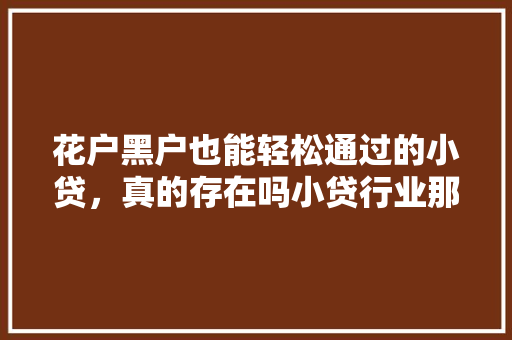 花户黑户也能轻松通过的小贷，真的存在吗小贷行业那些不为人知的秘密