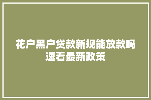 花户黑户贷款新规能放款吗速看最新政策