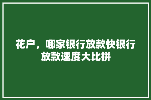 花户，哪家银行放款快银行放款速度大比拼
