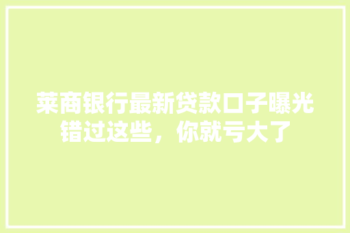 莱商银行最新贷款口子曝光错过这些，你就亏大了