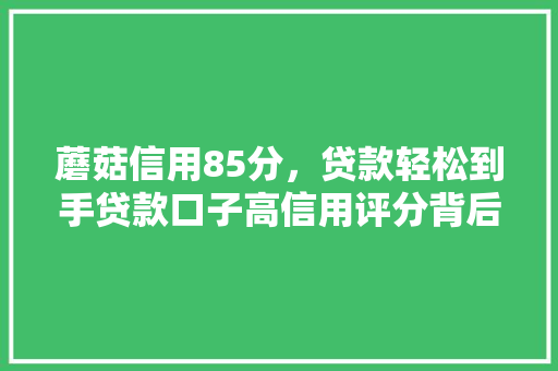 蘑菇信用85分，贷款轻松到手贷款口子高信用评分背后的秘密