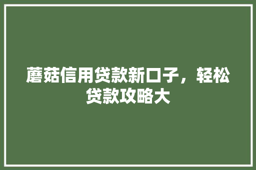 蘑菇信用贷款新口子，轻松贷款攻略大