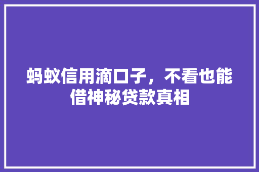 蚂蚁信用滴口子，不看也能借神秘贷款真相