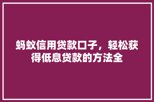 蚂蚁信用贷款口子，轻松获得低息贷款的方法全  第1张