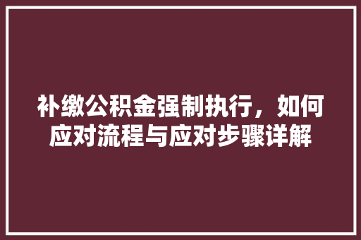 补缴公积金强制执行，如何应对流程与应对步骤详解