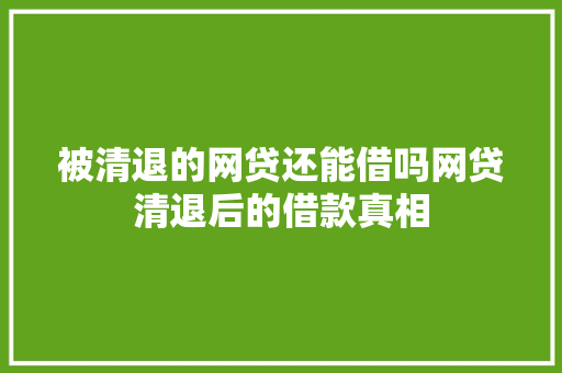 被清退的网贷还能借吗网贷清退后的借款真相
