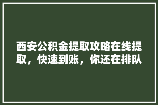 西安公积金提取攻略在线提取，快速到账，你还在排队吗