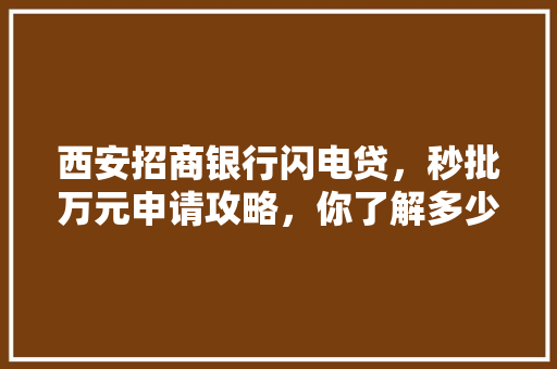 西安招商银行闪电贷，秒批万元申请攻略，你了解多少