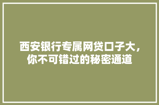 西安银行专属网贷口子大，你不可错过的秘密通道