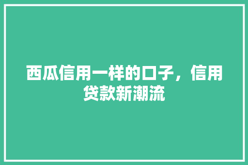 西瓜信用一样的口子，信用贷款新潮流