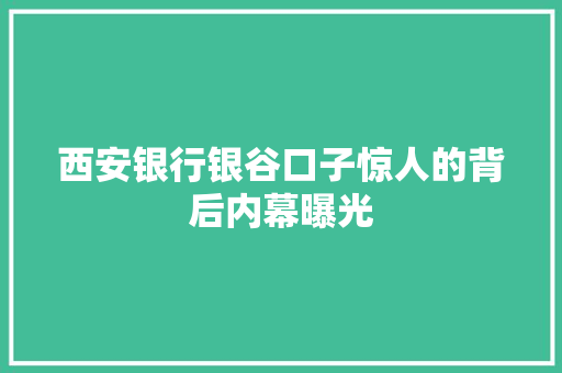 西安银行银谷口子惊人的背后内幕曝光