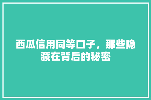 西瓜信用同等口子，那些隐藏在背后的秘密