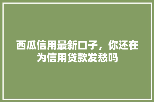 西瓜信用最新口子，你还在为信用贷款发愁吗