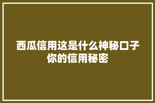 西瓜信用这是什么神秘口子你的信用秘密