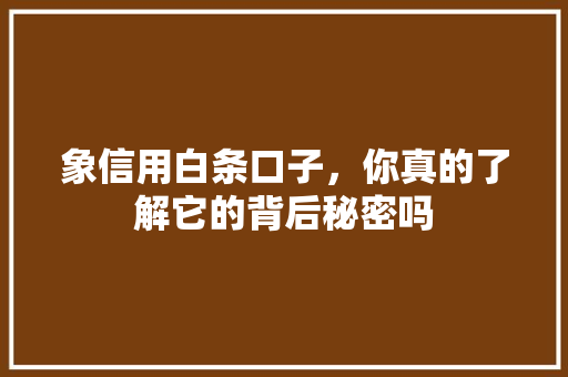 象信用白条口子，你真的了解它的背后秘密吗