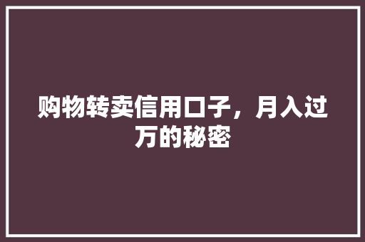 购物转卖信用口子，月入过万的秘密