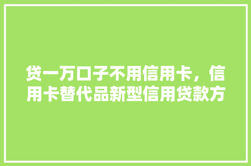 贷一万口子不用信用卡，信用卡替代品新型信用贷款方式