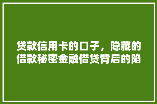 贷款信用卡的口子，隐藏的借款秘密金融借贷背后的陷阱