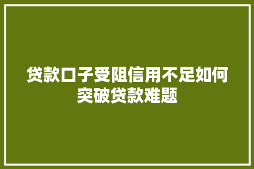贷款口子受阻信用不足如何突破贷款难题