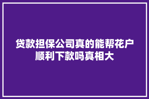 贷款担保公司真的能帮花户顺利下款吗真相大