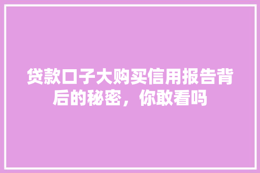 贷款口子大购买信用报告背后的秘密，你敢看吗