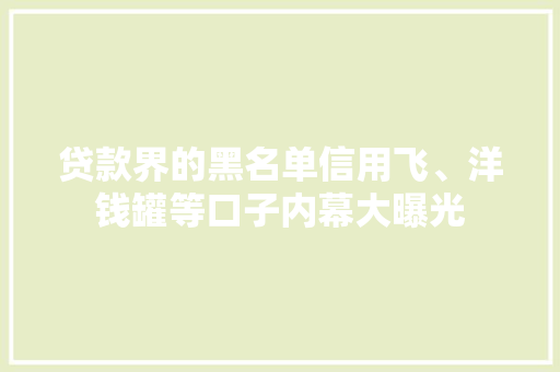 贷款界的黑名单信用飞、洋钱罐等口子内幕大曝光