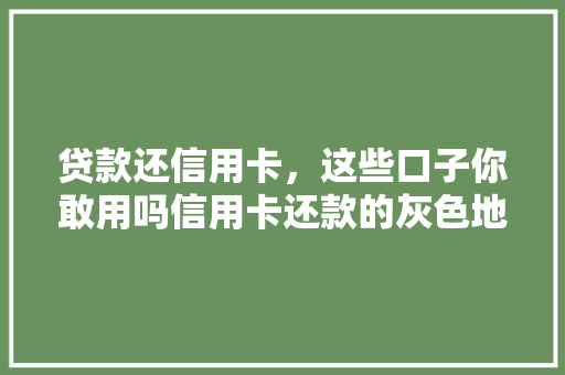 贷款还信用卡，这些口子你敢用吗信用卡还款的灰色地带