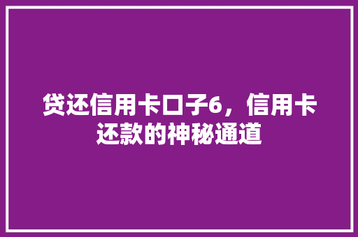 贷还信用卡口子6，信用卡还款的神秘通道