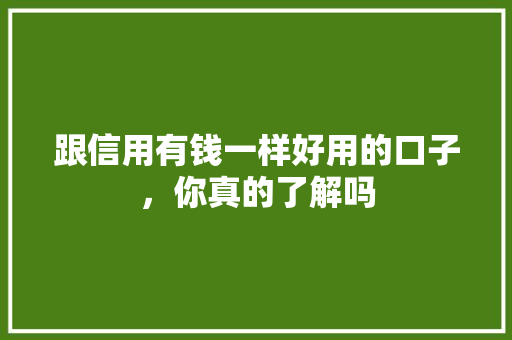 跟信用有钱一样好用的口子，你真的了解吗