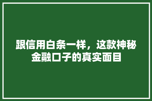跟信用白条一样，这款神秘金融口子的真实面目