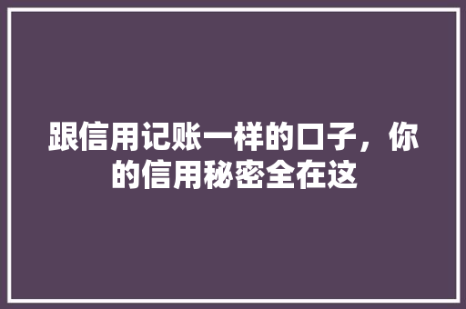 跟信用记账一样的口子，你的信用秘密全在这