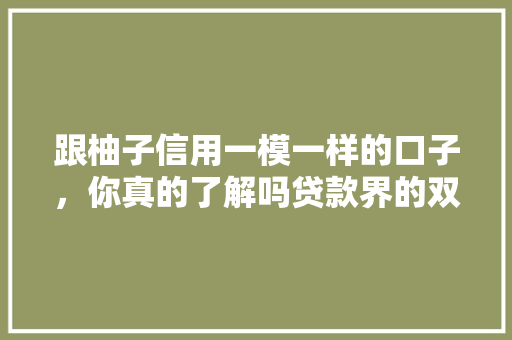 跟柚子信用一模一样的口子，你真的了解吗贷款界的双胞胎