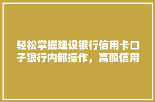 轻松掌握建设银行信用卡口子银行内部操作，高额信用卡申请指南